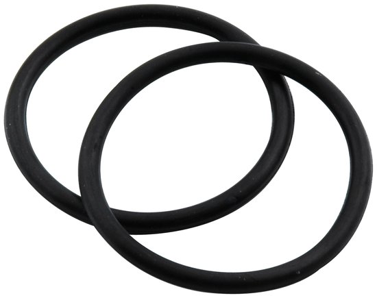 Allstar Performance - Fuel Filter O-Ring 2pk - 40237