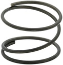 Fuel Filter Spring - 40236