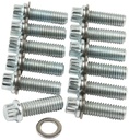 Allstar Performance - Intake Bolt Kit SBC 12PT 12pk - 87010