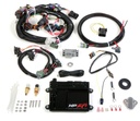 Holley - HP ECU and Harness MPFI NTK - 550-604N