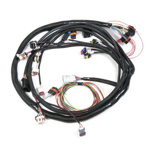 [HLY558-104] Holley - Main Harness Universal MPFI - 558-104