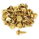 Allstar Performance - Body Bolt 1-1/8in 50pk Gold - 16554-50